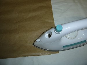 Image of toybugs01.jpg
